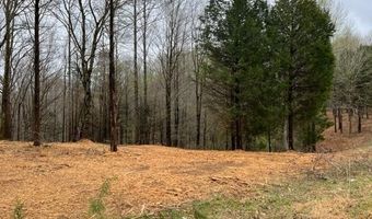 Willow Grove Hwy lot 2, Allons, TN 38541