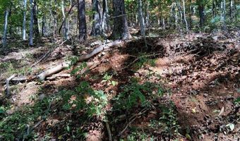 0 Mount Horeb Rd, Amherst, VA 24521