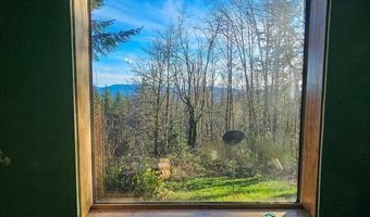 43911 NE COLUMBIA TIE Rd, Amboy, WA 98601