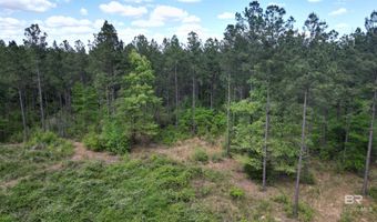 Ronald Sanks Road, Bay Minette, AL 36507