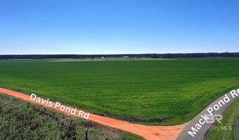 Lot 16 Davis Pond Road, Atmore, AL 36502