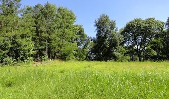 3290 HILLCREST Pl Lot 7, Adamsville, AL 35005