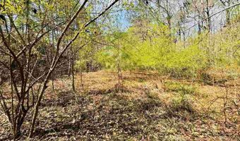 2299 E Main St Ext, Bennettsville, SC 29512