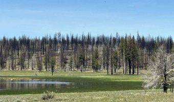 Off-Hicks Road, Bly, OR 97622