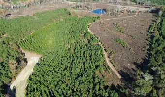 1228 River Rd, Ariton, AL 36311