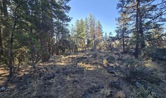 12174 Night Owl Dr, Bonanza, OR 97623