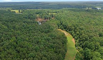 3482 Forty Forks Rd, Bethel Springs, TN 38315
