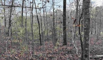 AEPEAN WAY lot 82, Alpine, AL 35014