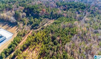 1374 E HIGHWAY 280 Lot 1374, Alexander City, AL 35010