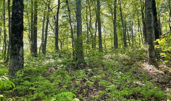 Lot 22 Laramie Heights 22, Andrews, NC 28901
