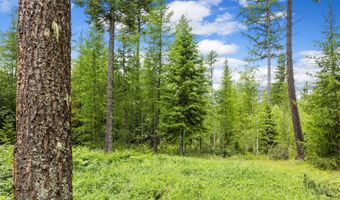 70 Big Cedar, Bigfork, MT 59911
