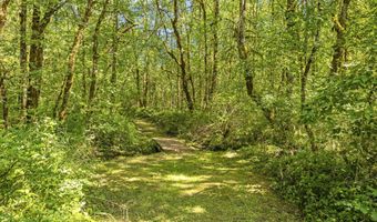 29311 NE 124TH Ave, Battle Ground, WA 98604