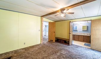24031 ARMADILLO Rd, Astor, FL 32102