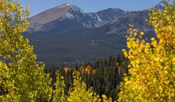 1139 BOREAS PASS Rd, Breckenridge, CO 80424