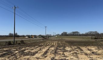 2966 N U.S. 412, Alamo, TN 38001