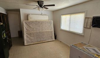 8 Buckhorn Ct, Austin, NV 89310