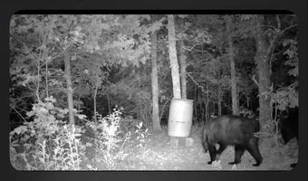 TR 55 56 57 & 23 PINE TREE TRAIL, Albion, OK 74571