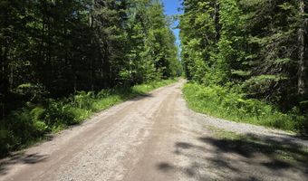 6780 Macey Ln, Alpena, MI 49707