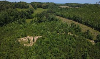 Tucker Road lot 9, Bath Springs, TN 38311