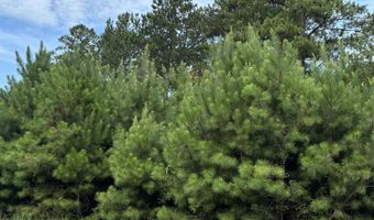Canoe Rd, Andalusia, AL 36421