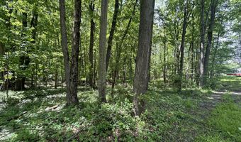 V/L 43.5A 104th Avenue, Allegan, MI 49010