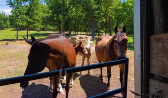 210 County Road 320, Alton, MO 65606