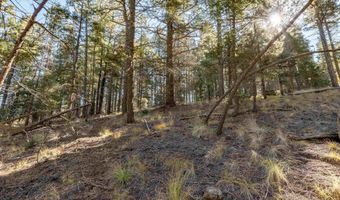 Back Basin Rd lot 145, Angel Fire, NM 87710
