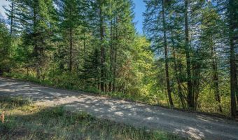 NKA Silver Creek Road, Clark Fork, ID 83811