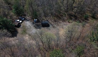 80 X Henry St, Alger, MI 48610
