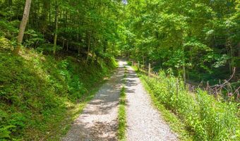 1044 Shell Stand Rd, Almond, NC 28702