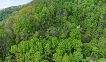 Jacks Knob Road 49, Barnardsville, NC 28709