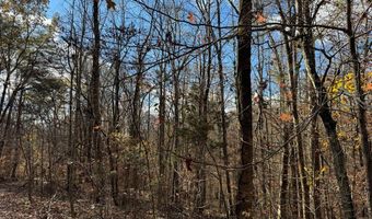 2 23 ACS Stone Clf, Albany, KY 42602