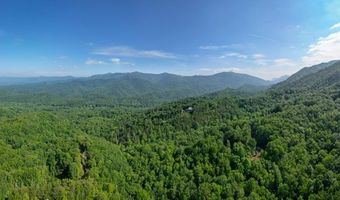 1621 Granny Squirrel Dr, Andrews, NC 28901