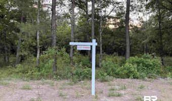 0 Pine Grove Rd Pine Grove Rd, Bay Minette, AL 36507