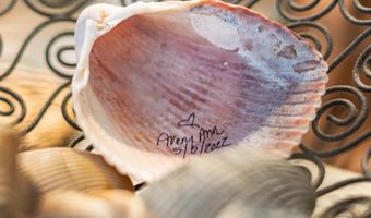 202 Dobbs St C, Atlantic Beach, NC 28512