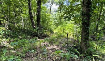 TBD Wilderness WY, Anderson, MO 64831