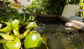 74 MAIKAI St, Hilo, HI 96720