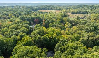 1290 Cramton Ave NE, Ada, MI 49301