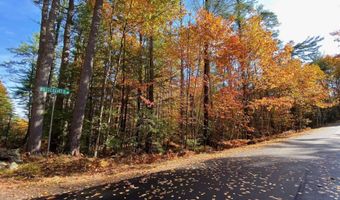 69 Butterfield Rd, Center Harbor, NH 03226