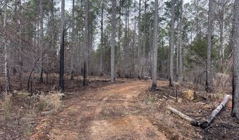 Highway 9N, Banner, MS 38913