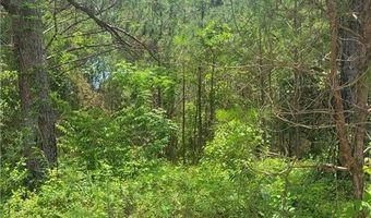 O. B. BROWN Road, Auburn, AL 36830