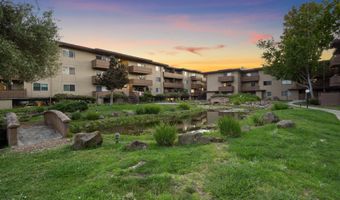 1321 Webster St D116, Alameda, CA 94501