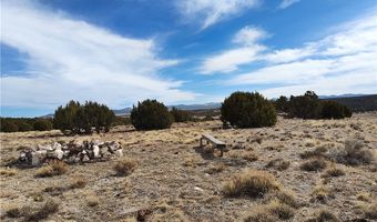 15 County Rd N8641, Concho, AZ 85924