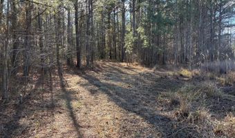 LOT 4B MOLLYFIELD ROAD, Dagsboro, DE 19939