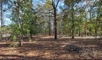 1616 Lakeview Ave, Camden, SC 29020