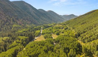 9555 Castle Creek Rd, Aspen, CO 81611