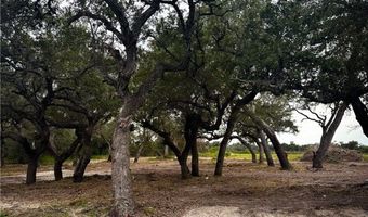 2537 Jocelyn Rd Lot 14, Aransas Pass, TX 78336