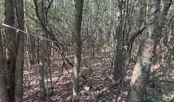 TOW BOAT Ln, Adamsville, TN 38310