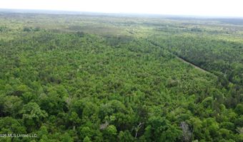Christian Hts Road, Braxton, MS 39044