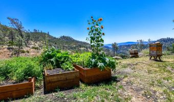 3335 Friesen Dr, Angwin, CA 94508